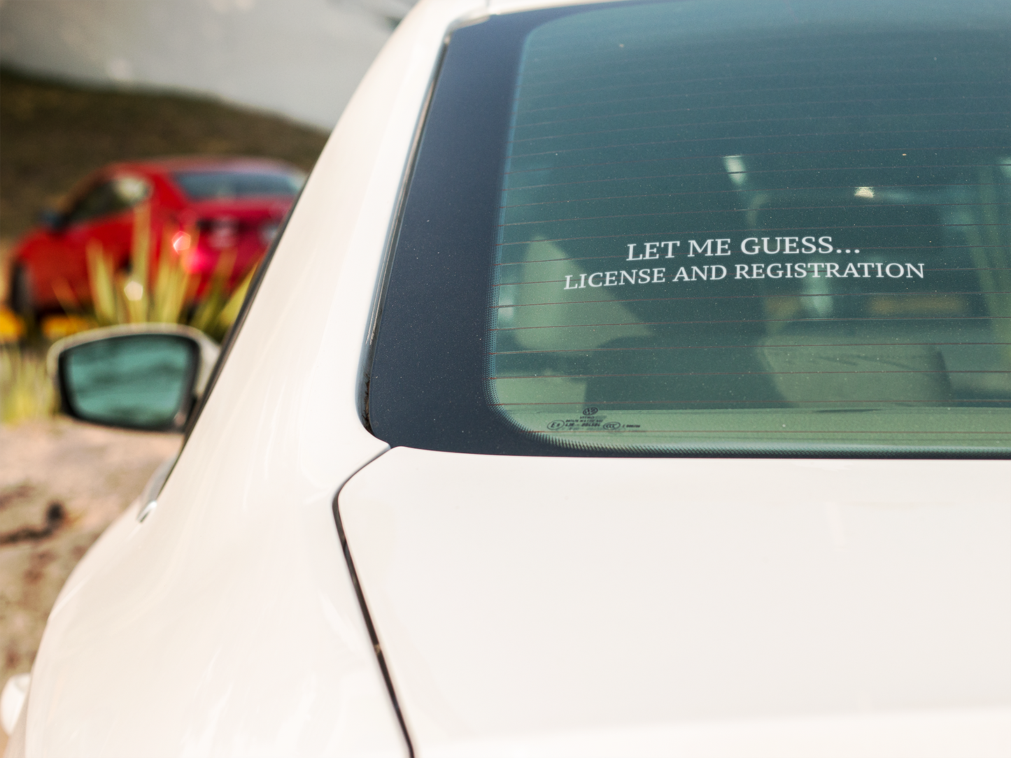 Let Me Guess... License and Registration