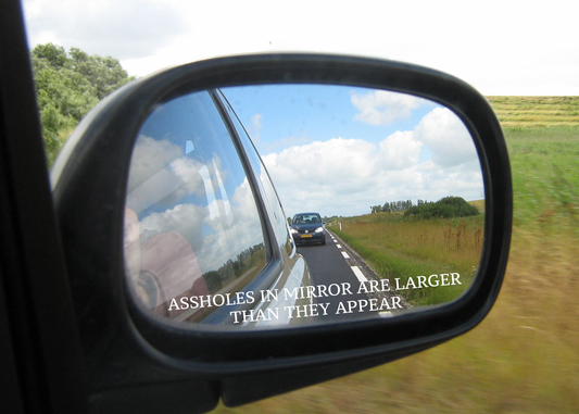 Assholes In Mirror Are Larger Than They Appear