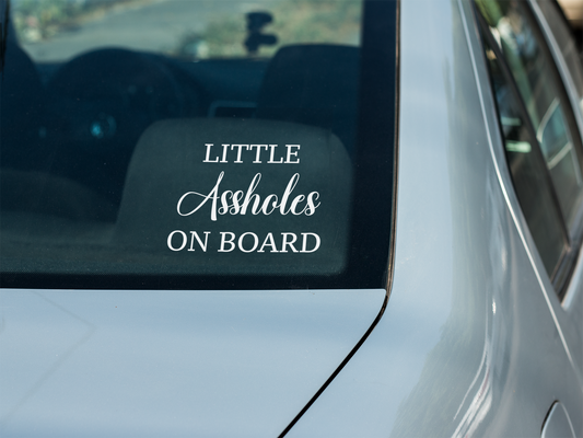 Little Assholes On Board